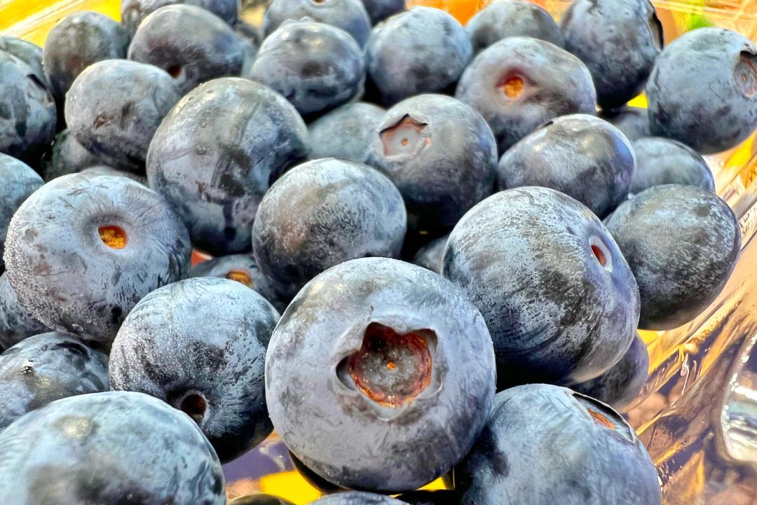 广州水果“自由度”解码②丨国产蓝莓销售火爆，味美价廉惹人爱