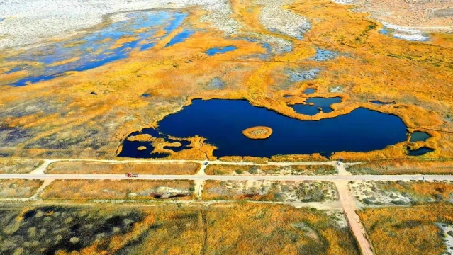 奋斗百年路：甘肃民勤书写绿色奇迹