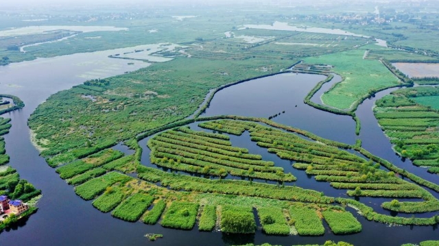 奋进新征程 建功新时代·伟大变革｜从“深圳速度”到“雄安质量”——雄安新区建设一线采访记