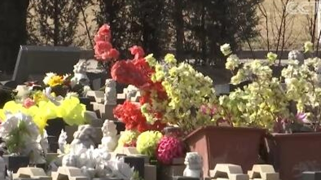 民政部：各地要统筹做好疫情防控和清明祭扫工作