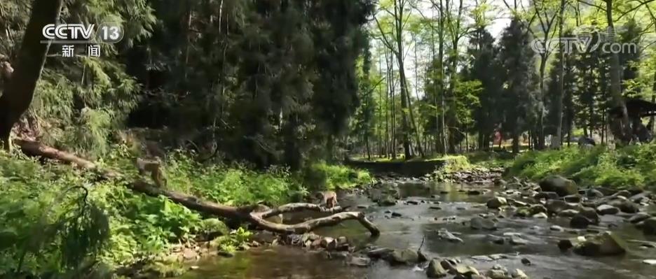 7b2685677023c38de051b5ae5ec87b85_2022042614170222258.jpg 7b2685677023c38de051b5ae5ec87b85_2022042614170222258.jpg