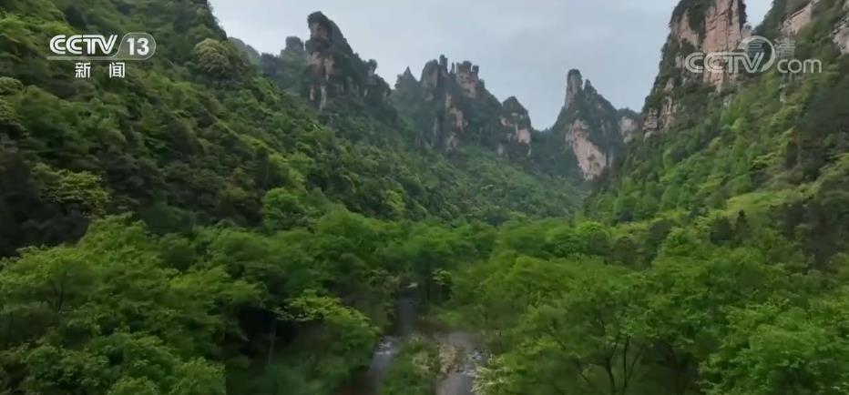 b10a045dba9d5edebdc865455642ae90_2022042614164431213.jpg b10a045dba9d5edebdc865455642ae90_2022042614164431213.jpg