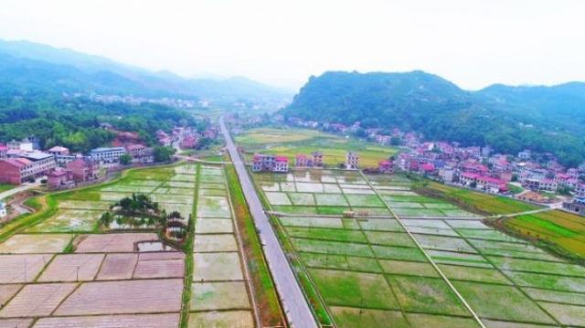 【奋斗者 正青春】希望田野上的“乡村追梦人”