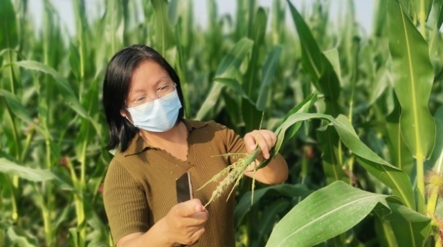 【奋斗者·正青春】栉风沐雨三十载 她是农民的贴心人