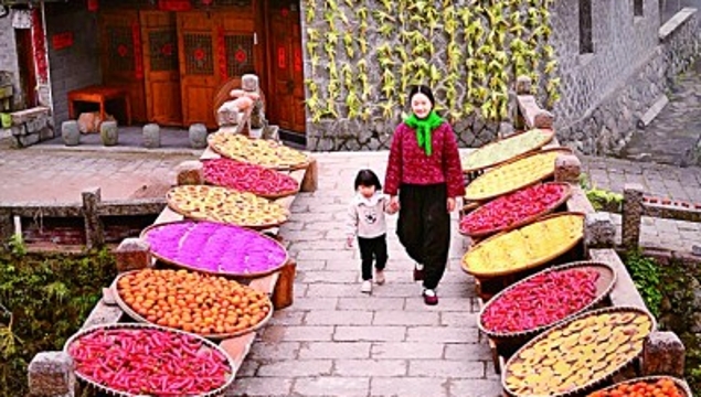 【奋进新征程 建功新时代·老区新貌】浙西南革命老区：红绿融合绘共富新景