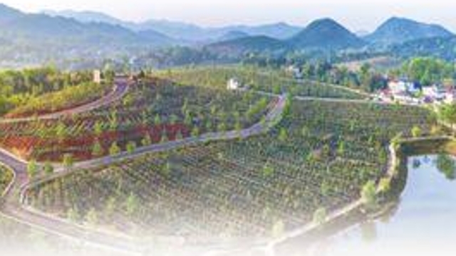 安徽六安大别山革命老区：红旅融合，山乡旧貌换新颜