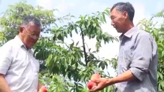 二十大代表风采丨赵亚夫：把论文写在祖国大地上