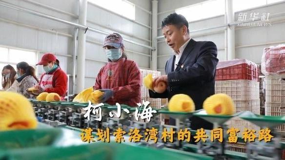 二十大代表在基层｜柯小海：谋划索洛湾村的共同富裕路