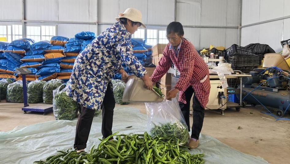 四中全会精神在基层 | “三股绳”拧成一道力