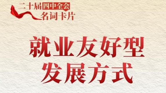 二十届四中全会名词卡片：就业友好型发展方式