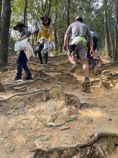 赏梅 观景24 74公里深圳中部郊野径建成开放 广州日报大洋网