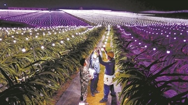 【脱贫攻坚答卷】贫困村变身美丽乡村示范点