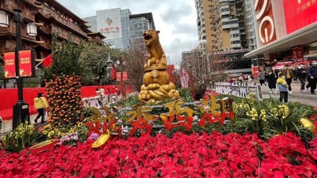 【粤迎寅虎 年味湾区】年初一省内赏花游、非遗游、线上游玩法多