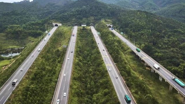 清明假期：广清高速预计日均车流量同比增长约10%
