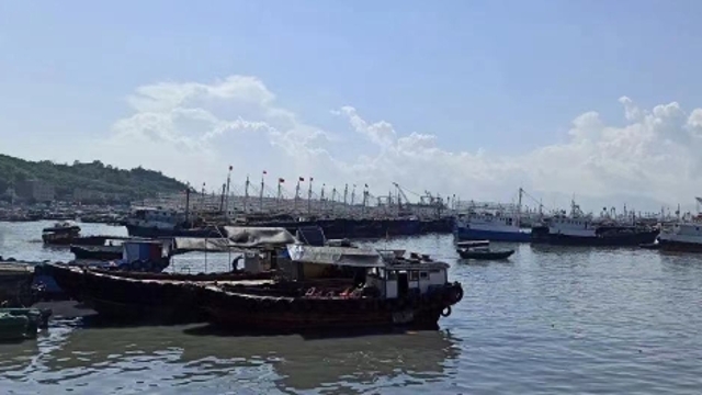 阳江海陵326艘渔船回港避风