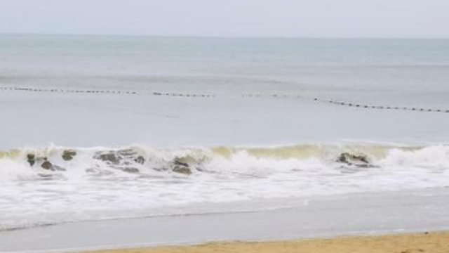12级台风“马鞍”来袭 预计夜间起茂名风力逐步减弱