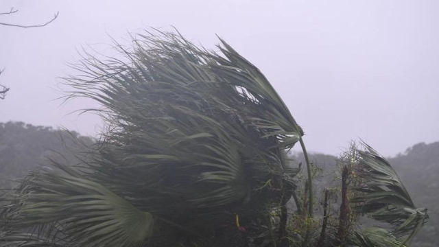 阳江市沙扒镇居民撤离低洼地