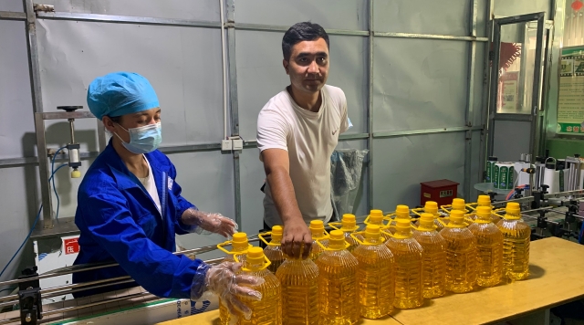 “榨油哥”帶領鄉親奔幸福 廣東援疆干部、企業助推榨油廠做大做強