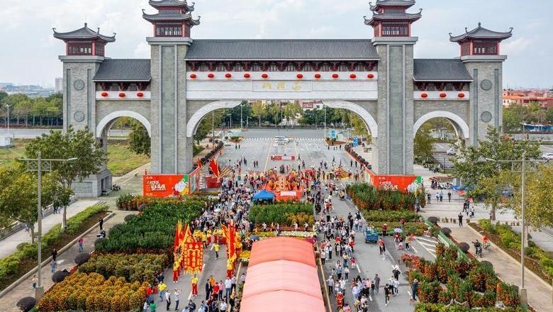 “躺赢兔”“狮王”坐镇……西樵迎春花市开锣