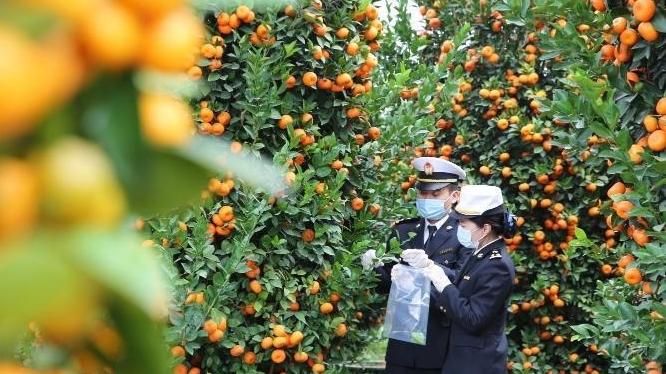 “年味”浓浓迎新春，红红火火过大年