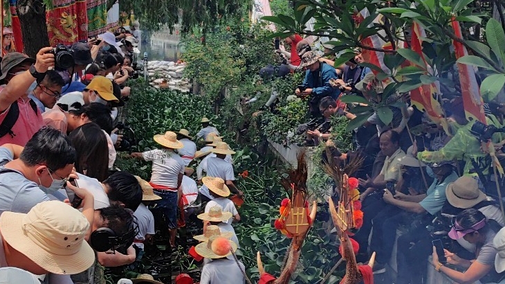 591岁盐步老龙出水！南海大沥端午龙舟系列活动拉开序幕