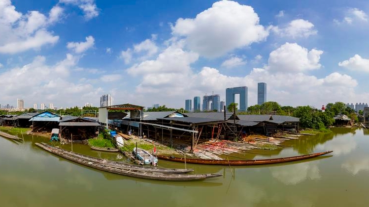 探秘广东最古老的龙舟制造和维修基地