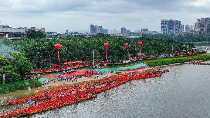 锣鼓喧天、飞桨逐浪……东莞石龙多条“猛龙”畅游东江