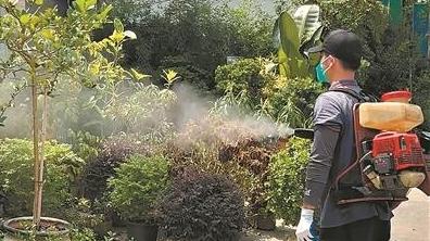 中国疾控中心专家分析今年基孔肯雅热疫情