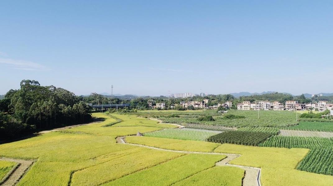 把短板变成潜力板丨产业有潜力,县镇村里项目加速跑