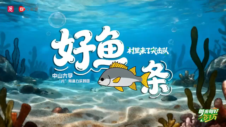 “躺平鱼”逆袭记!中大突击队用技术让珠海金湾鱼塘“活”起来