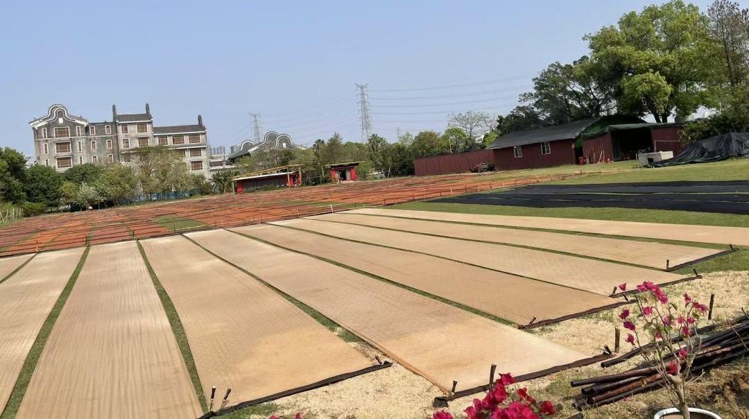 广东发布香云纱服装团标,“三蒸九煮十八晒”有“标”可依