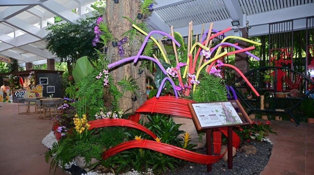 广东新增34条特色自然教育径 广州这些公园榜上有名