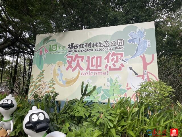 a99f6c3e8f530cc1167b62ff58b78db6_ee9f29ace8.jpeg a99f6c3e8f530cc1167b62ff58b78db6_ee9f29ace8.jpeg