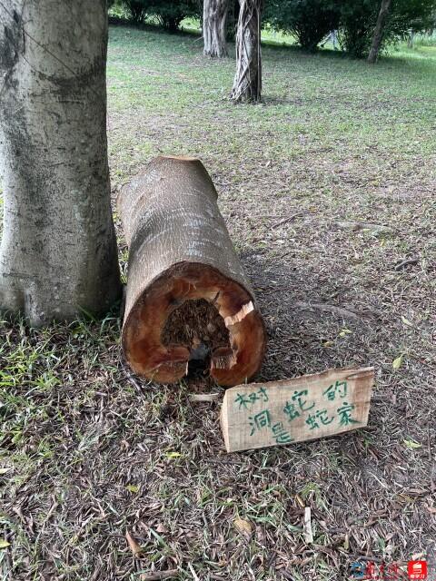 8e98c447717105ff64fcc309f247a56f_d9480ec7e8.jpeg 8e98c447717105ff64fcc309f247a56f_d9480ec7e8.jpeg