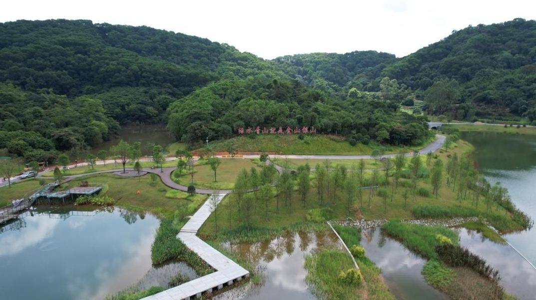 从守绿到用绿!广东让绿水青山变幸福靠山