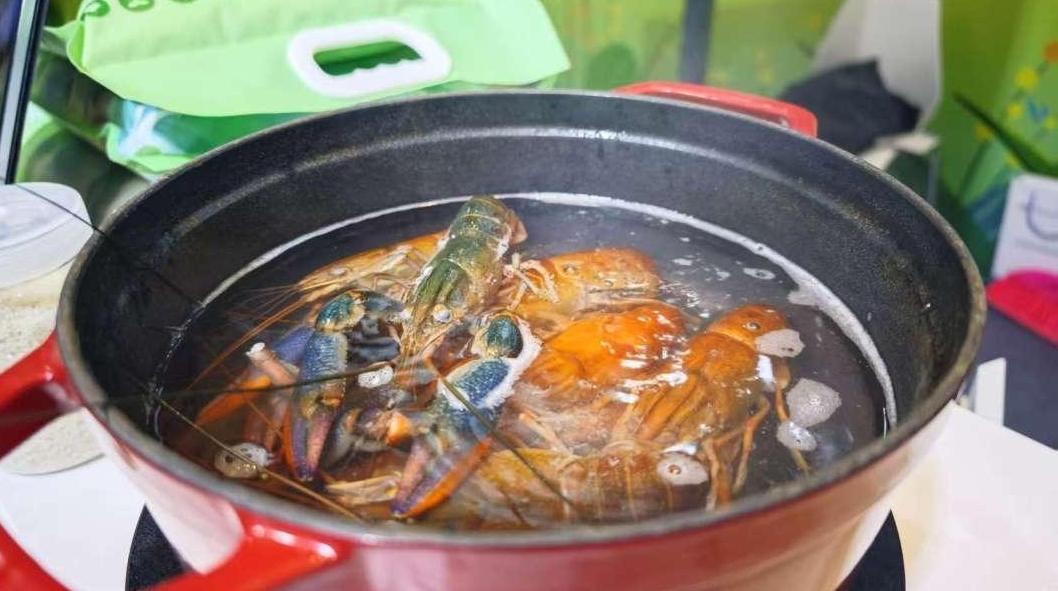 2025年大湾区科学论坛进行中,红螯螯虾硬核出圈