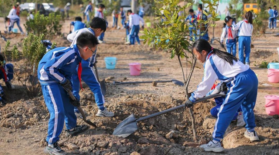 522万人次参与,广东近三年义务植树活动超7万场