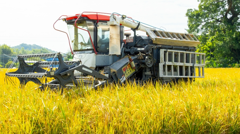 广东表彰乡村振兴驻镇帮镇扶村工作先进集体和先进个人