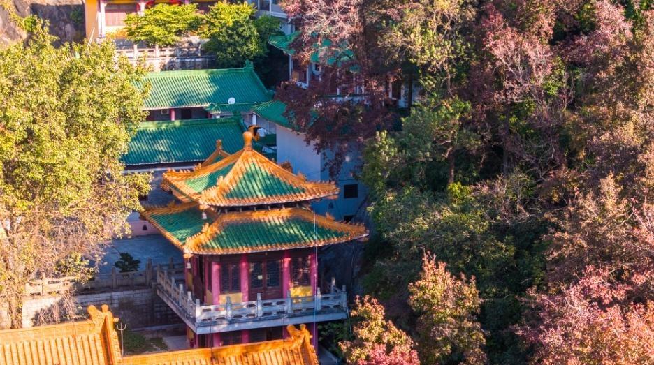 色彩斑斓的时节到了！广东迎来红叶最佳观赏季