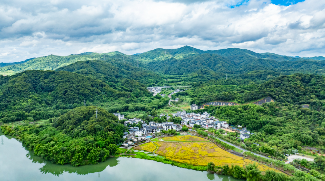 持续抓下去，一张蓝图绘到底——写在广东“百千万工程”三年初见成效之际