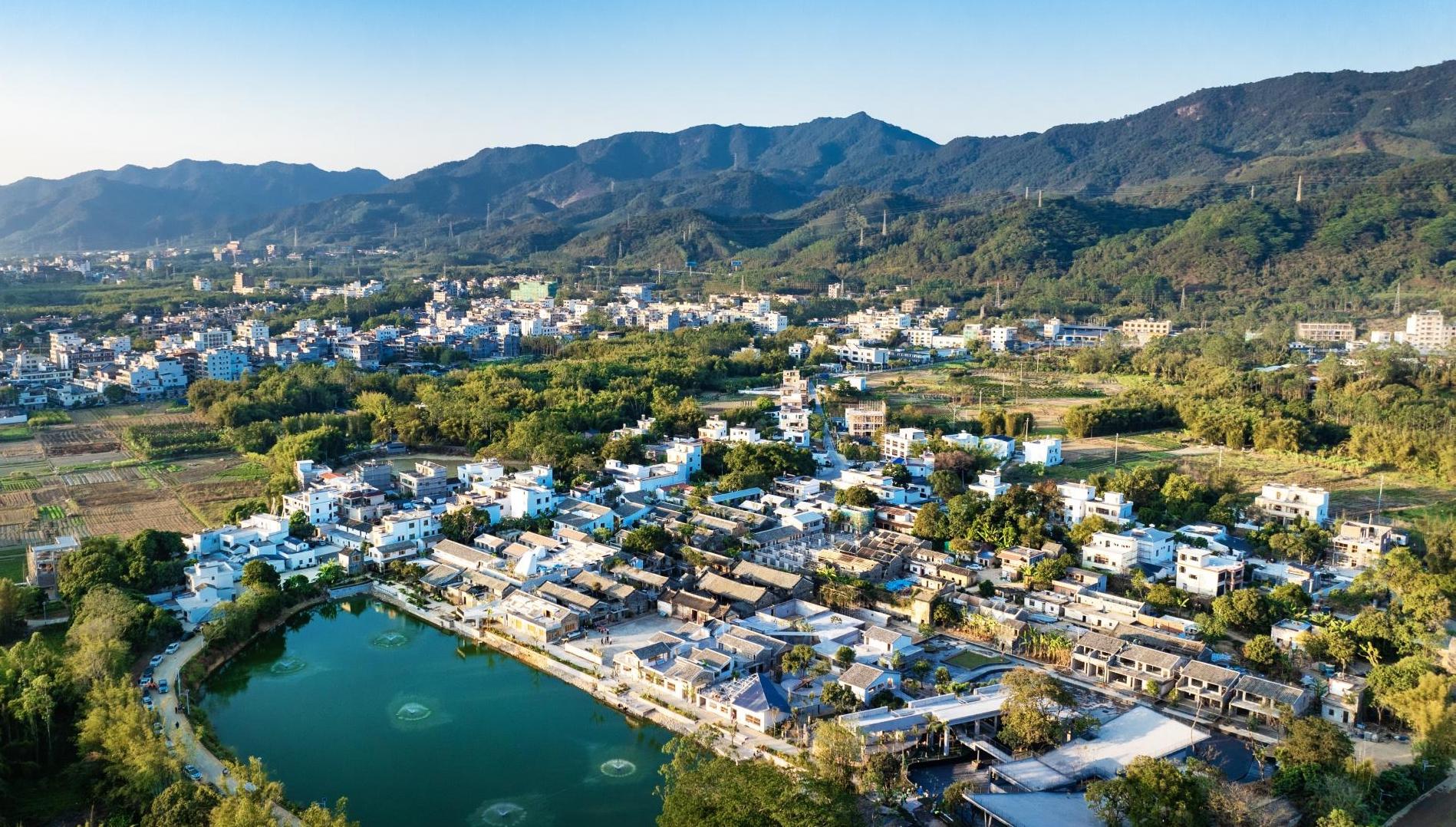 奋楫助推“百千万” 实干交出新答卷——广东省政协助力“百千万工程”纪实