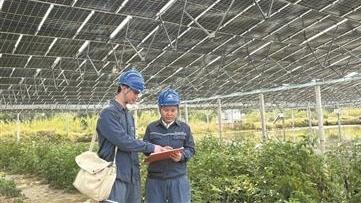 “更绿、更通、更省、更智”,佛山初步建成新型电力系统