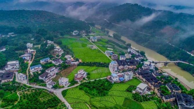 经济在增长、环境在改善！绿美广东生态建设发布“十四五”成绩单