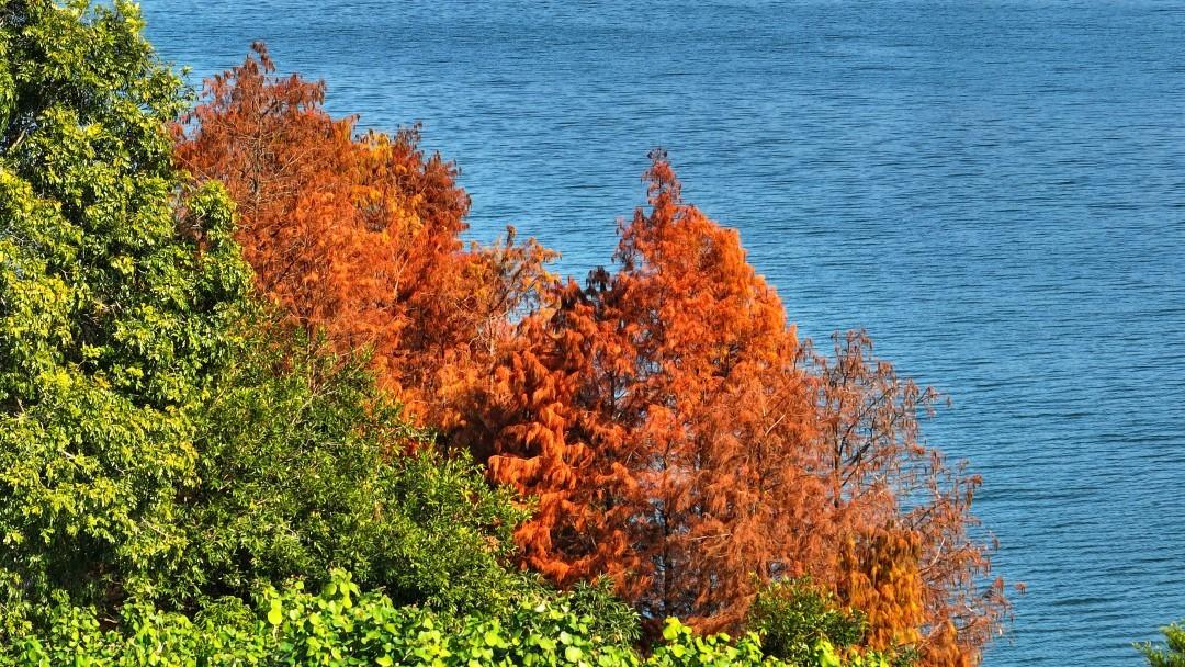 较强冷空气周二日到广东 山区或有零下低温加雨夹雪