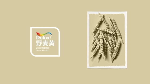 多乐士2023全球色彩趋势正式发布 野麦黄让生活随心而野