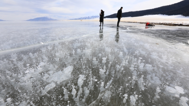 新疆：赛里木湖现冰泡景观