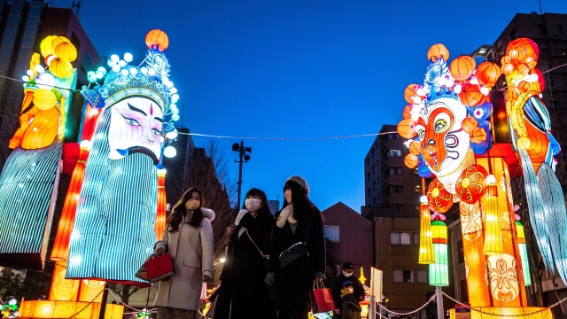 日本横滨：公园点亮彩灯迎接农历新年