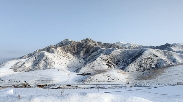 甘肅碌曲縣迎降雪 白雪地相映成趣