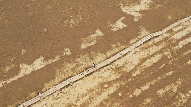鄱阳湖枯水 2930米明代石桥露“真容”