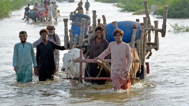 巴基斯坦洪水已致3000余萬人受災